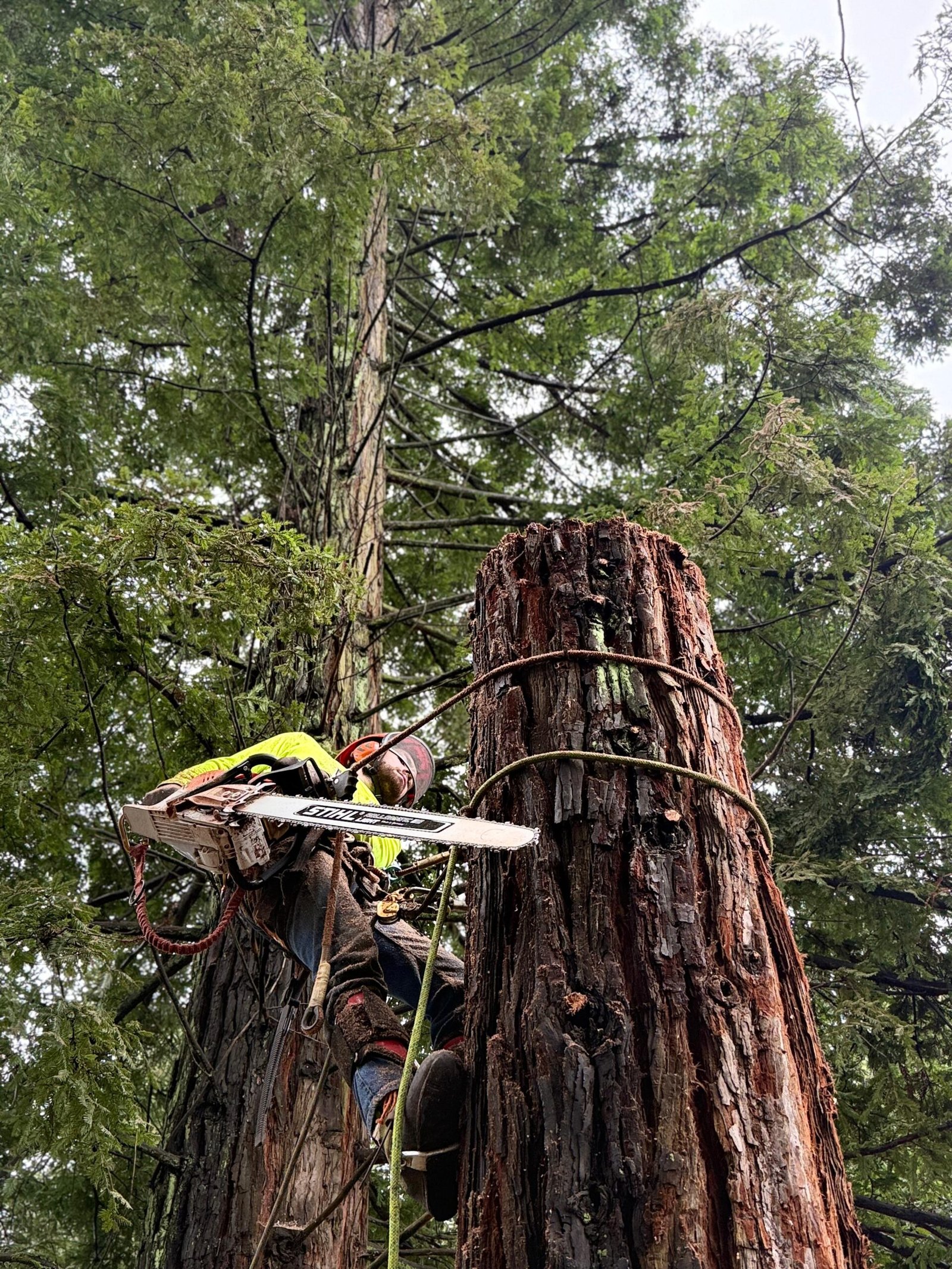 280a5614-42be-48bd-9f34-68e48b8c387e (1)