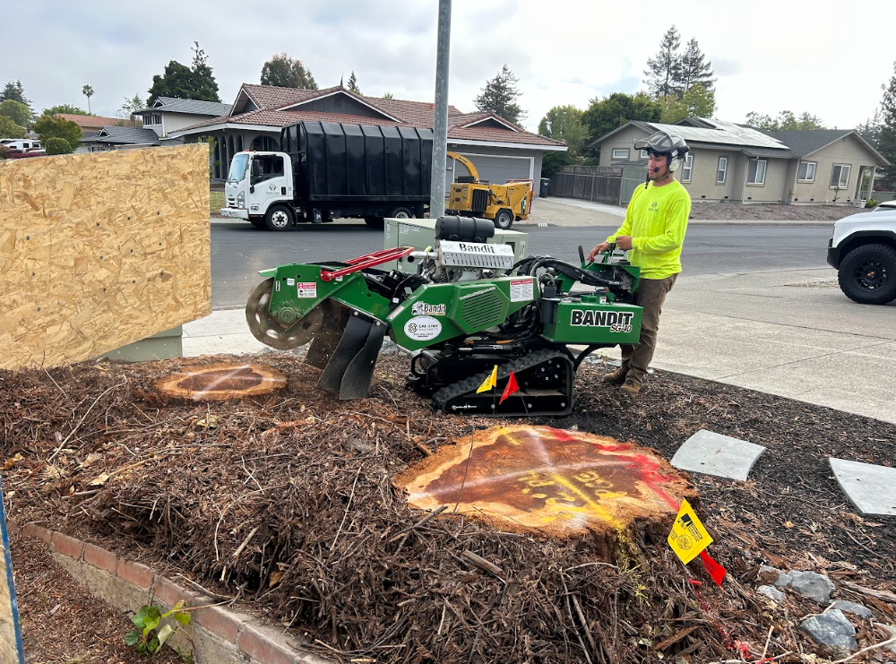 Screenshot 2026-02-08 150704