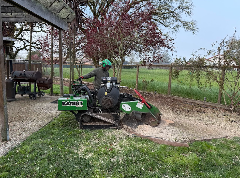 Screenshot 2026-03-06 193313