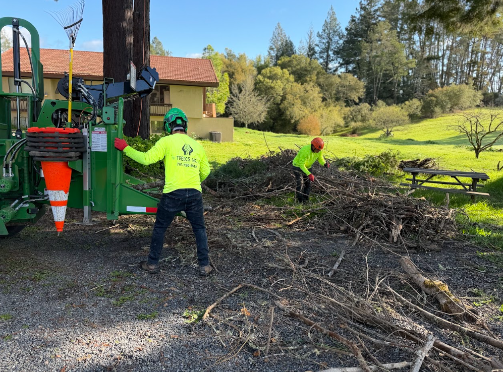 Screenshot 2026-03-08 071220