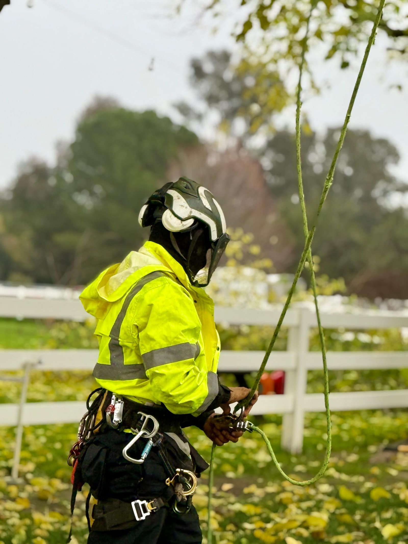 c20e27b8-6248-4e7d-ab5d-7da2188fb60b