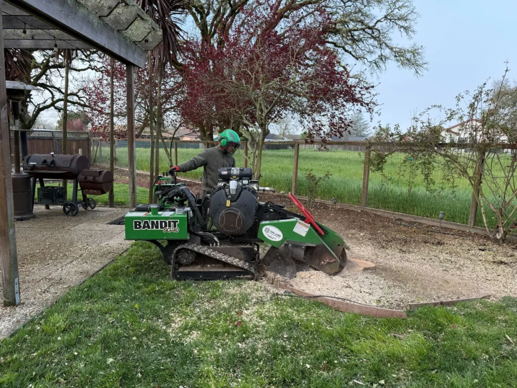 Stump-Grinder1