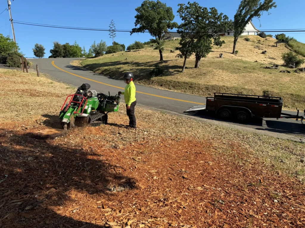 Stump-grinder